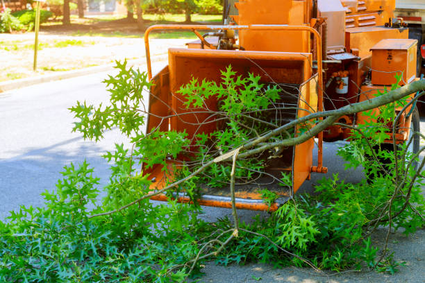 Best Lawn Grading and Leveling  in Mcarthur, OH